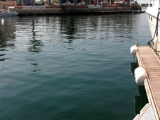 Berth at Marina Alicante - Berth with pontoon